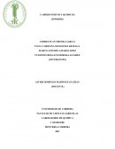 Informe de cambios fisicos y quimicos