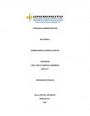 Análisis de caso sobre la estructura organizacional