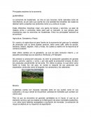 Principales sectores de la economía Guatemala