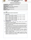 PRÁCTICA DE LABORATORIO N° 3