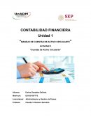 Manejo de cuentas de activo circulante