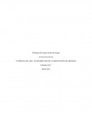 FUNDAMENTOS DE LA PREVENCIÓN DE RIESGOS