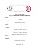 PRÁCTICA DE METODOS ENERGÉTICOS