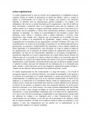 CULTURA ORGANIZACIONAL, VALORES Y NORMAS