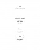 Caso problema tecnoglass