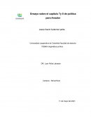 Ensayo sobre el capítulo 7y 8 de política para Amador