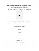 PRESTACIONES Y SERVICIOS SOCIALES EN PERÚ