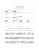 REPORTE DE LECTURA . EL MUNDO DE LA ANTIGÜEDAD TARDIA