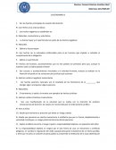 Organizador Grafico clasificaciones del derecho