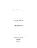 FUNCIONES DEL LENGUAJE