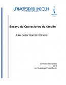 Ensayo operaciones de credito