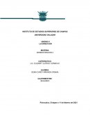 Administracion. La direccion