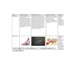 DESARROLLO ECONOMICO