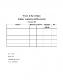 Análisis Cualitativo del Movimiento