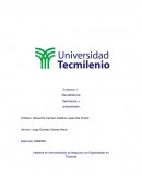 La exclusividad de las prendas ‘’Supreme’’