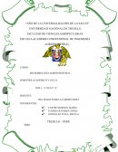 NORMAS DE BIOSEGURIDAD EN EL LABORATORIO DE MICROBIOLOGÍA