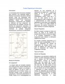 Pruebas Diagnosticas de Hemostasia