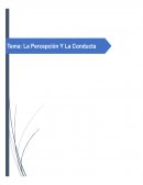 Percepcion y conducta