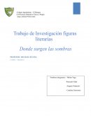 Texto argumentativo donde surgen las sombras