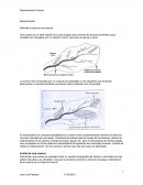 Delimitacion de cuencas