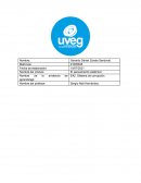 Sistemas de corrupcion. Empresa Delicioso