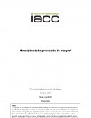 Principios de la prevención de riesgos