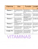 Mapa Conceptual de Vitaminas