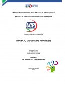 GUIA DE PRACTICA HIPOTESIS DE INVESTIGACION