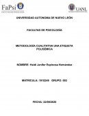 METODOLOGIA CUALITATIVA UNA ETIQUETA POLISÉMICA