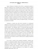 Texto Explicación Factorial - Contaminación Ambiental