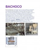 Caso BACHOCO