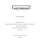 Caso Practico UNIDAD 3 CONSBRIC