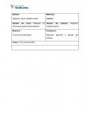 Evidencia 3: Resumen ejecutivo y reporte del proceso