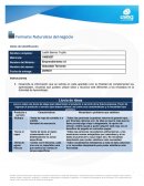 Naturaleza de negocio