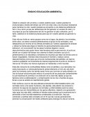 Ensayo Educación Ambiental