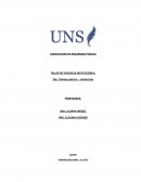 TALLER DE VIOLENCIA INSTITUCIONAL