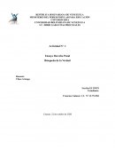 Actividad Nº. 1 Ensayo Derecho Penal