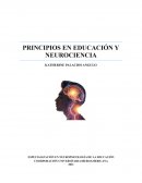 PRINCIPIOS EN EDUCACIÓN Y NEUROCIENCIAS