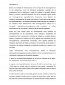 Desarrollo Microbiologia