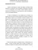 Organización politica de México