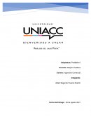 Analisis de caso PENTA