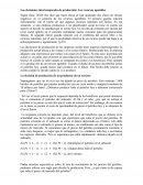 Las decisiones intertemporales de producción: Los recursos agotables