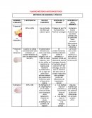 CUADRO MÉTODOS ANTICONCEPTIVOS