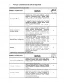 Perfil por Competencias de Jefe de Seguridad