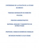 Proceso administrativo,análisis y diagnóstico de estructuras