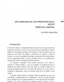 APLICABILIDAD DE LOS PRINCIPIOS EN EL NUEVO. DERECHO LABORAL