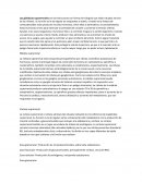 Glandulas Suprarrenales