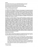 El fenómeno social del consumo