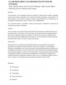 Microscopio y sus diferentes puntos de enfoque