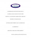 Actividad: Medio ambiente: Baja California Sur
